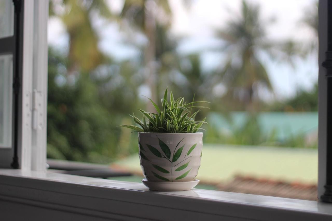 هوي Tiny An Homestay المظهر الخارجي الصورة